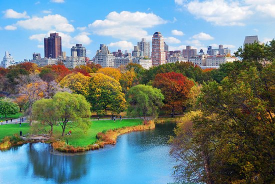 Green Oases in the Concrete Jungle: NYC’s Best Urban Parks